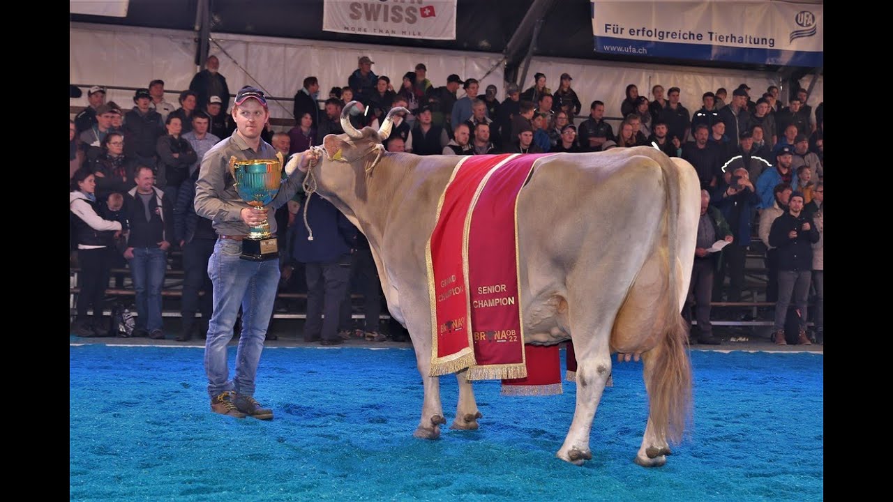 BRUNA OB 2022 Grand Champion Wahl