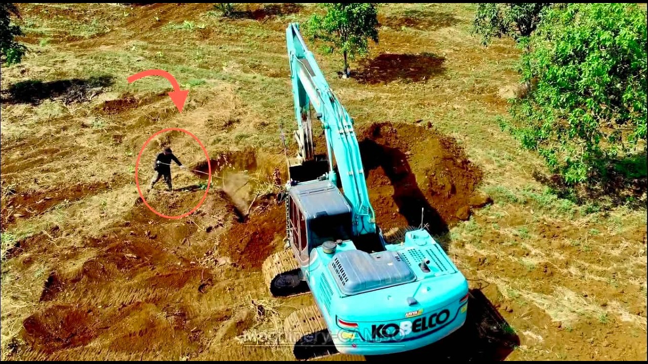 16 hectares of land  Excavator  I clean the land alone  It's really unusual