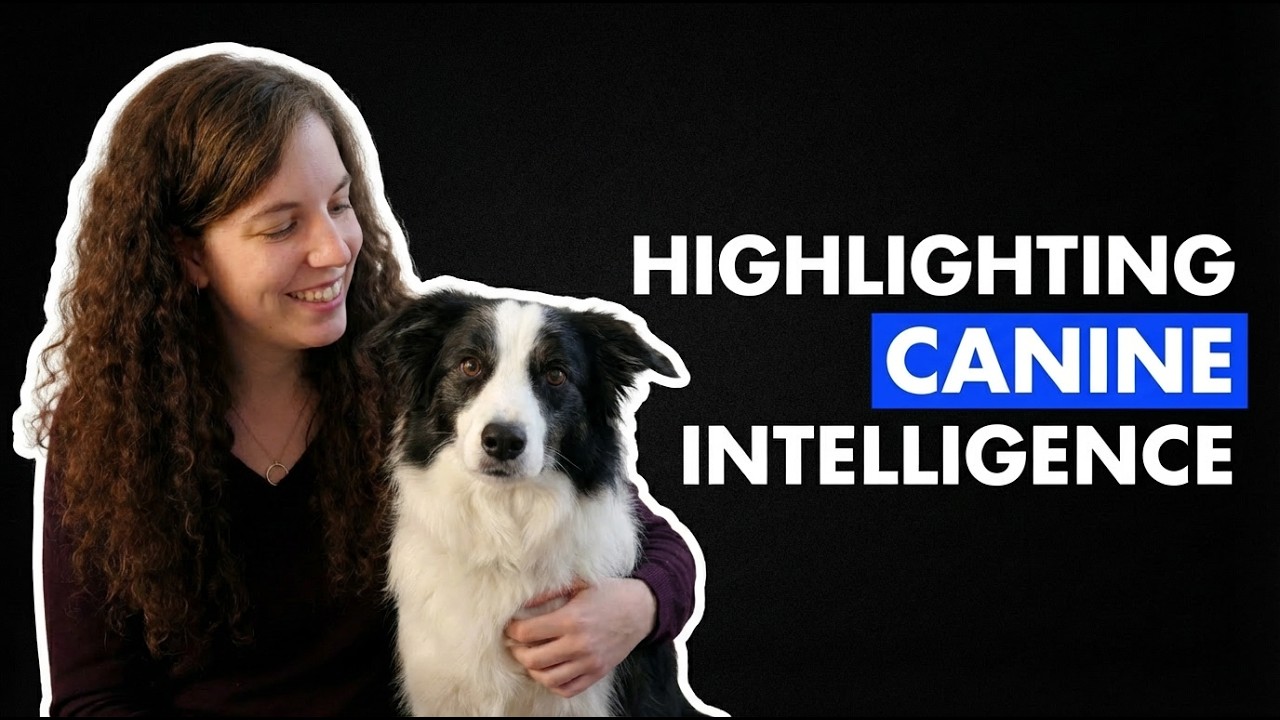 Find out if your dog is a genius... Season 2 Episode 17