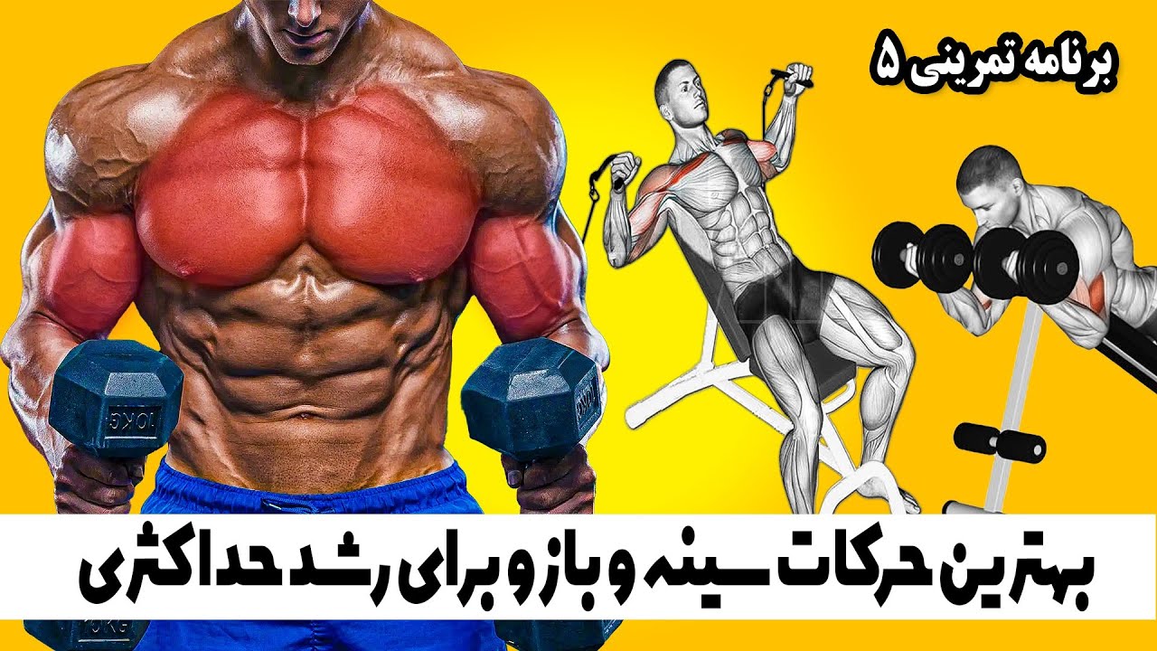 بهترین حرکات سینه و بازو - برنامه تمرینی 5