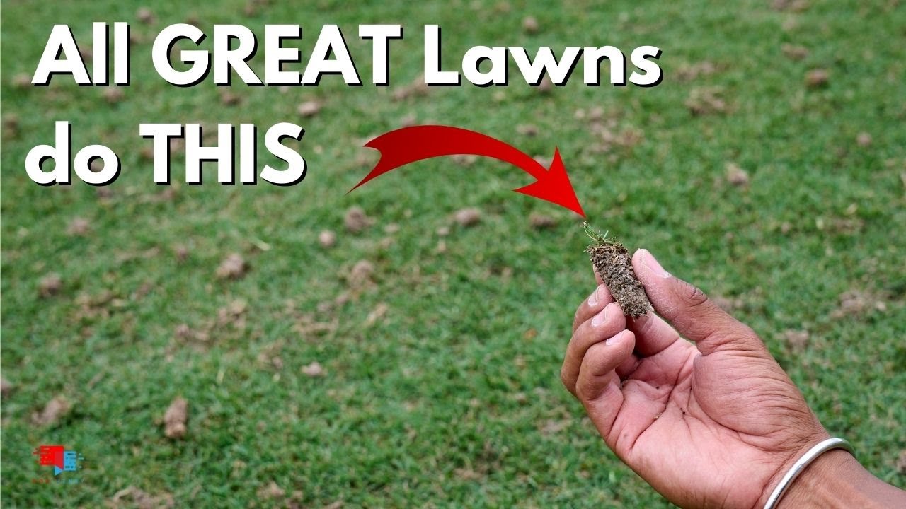 How to Aerate Your Lawn to Get Ahead of the Competition