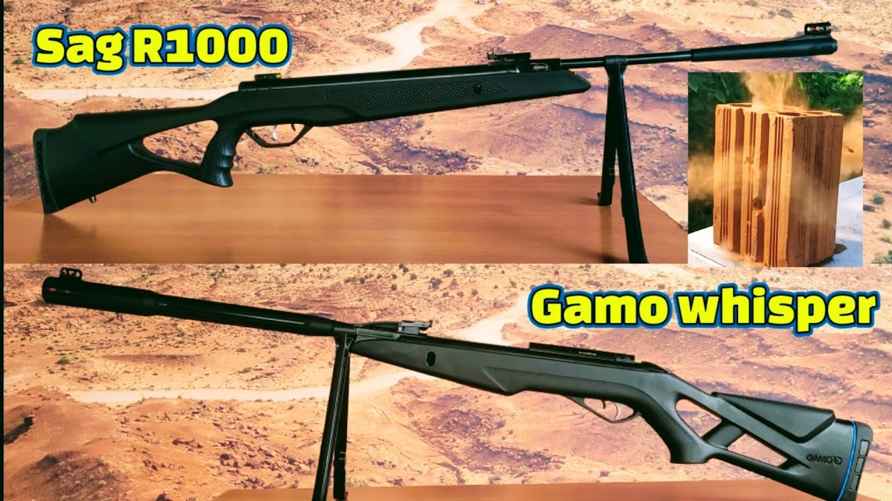 Teste de potência Sag R1000 vs Gamo Whisper Fusion, qual a mais forte?