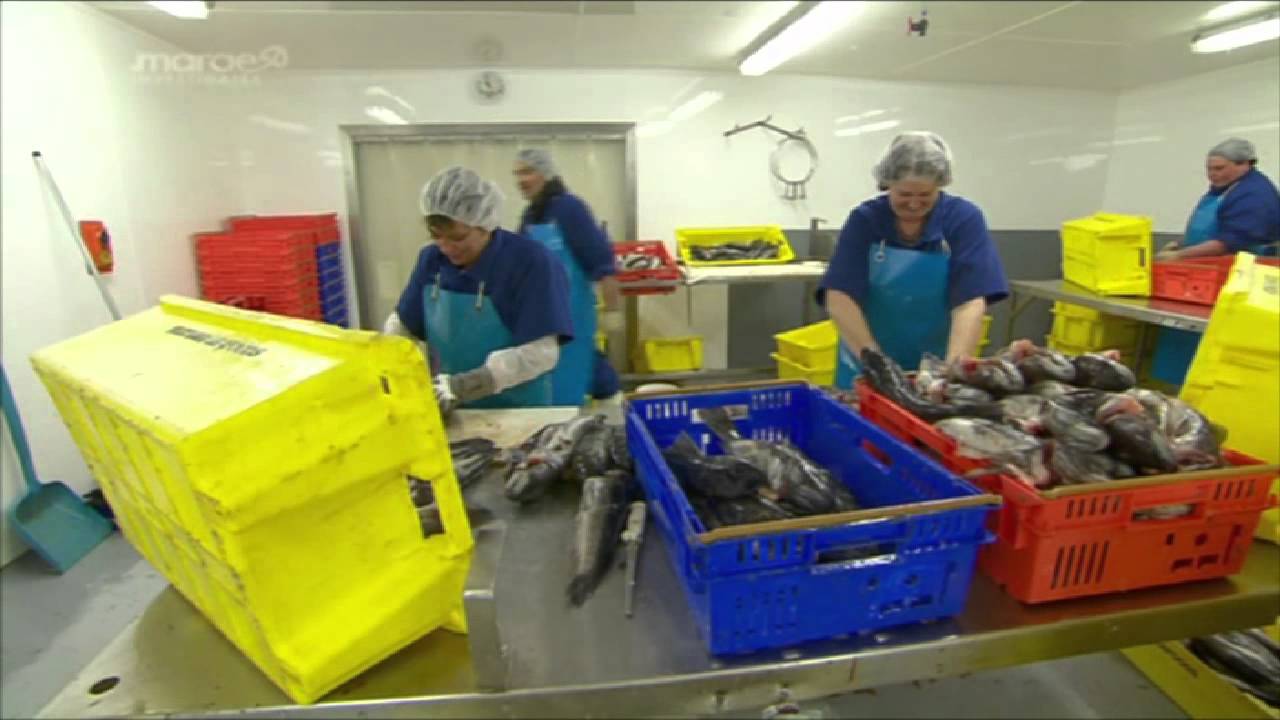 Chatham Island's economy in trouble