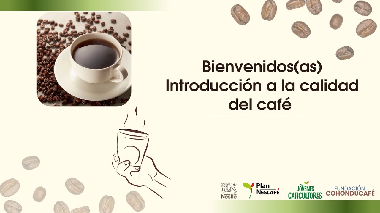 Introducción a la calidad del café