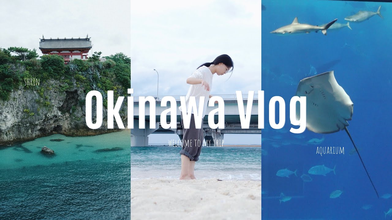 冲绳VLOG｜我宣布！淡季的海岛就是独旅天堂🏝️｜一个人的离职旅行 波上宫和白沙滩 乡土料理和三线琴 鲸鲨水族馆 宝藏拉面小店