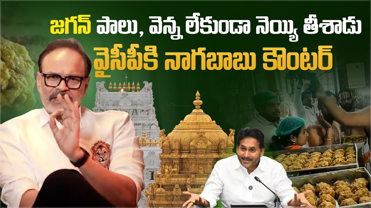 వైసీపీకి నాగబాబు కౌంటర్ | Janasena MLC Nagababu Counter to YCP Over SIT Report on TTD Laddu Issue
