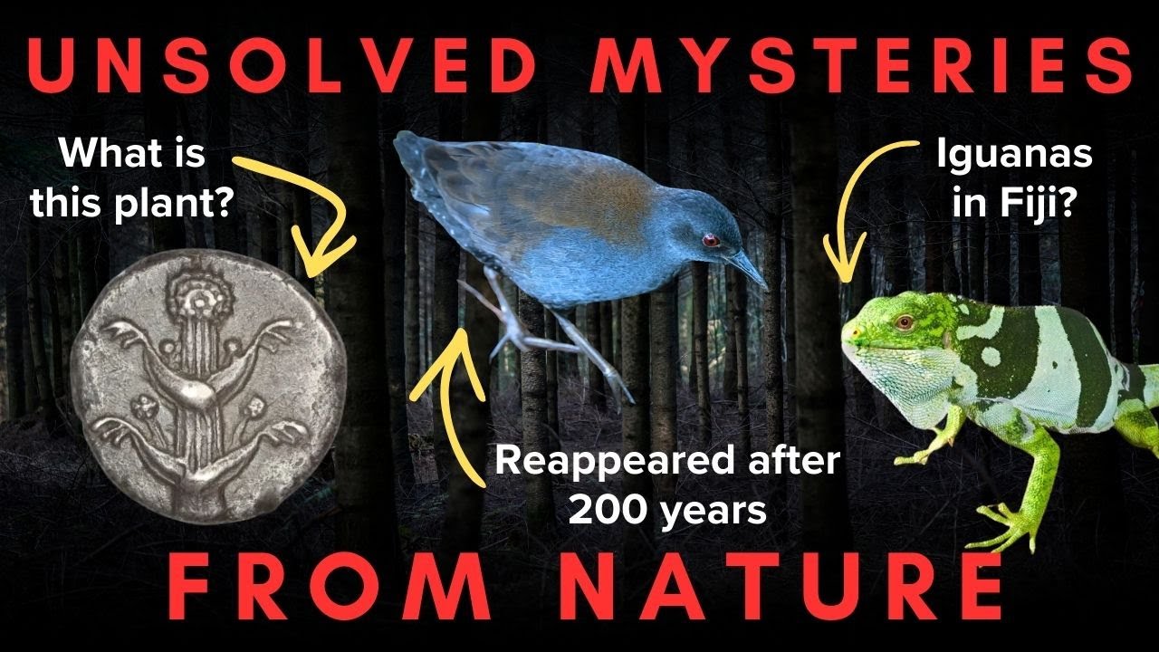 Five Unsolved Natural Mysteries