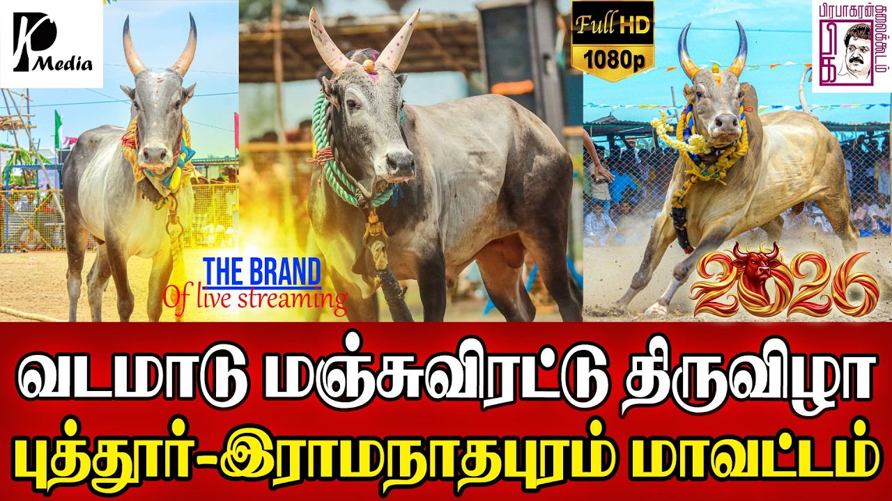 🔴LIVE (நேரலை) | புத்தூர் வடமாடு மஞ்சுவிரட்டு 2026 | இராமநாதபுரம் மாவட்டம் | PK Media