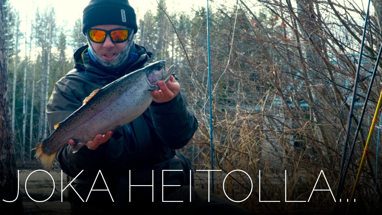 Kirjolohi hullulla syönnillä // Perhokalastusta kevättulvassa