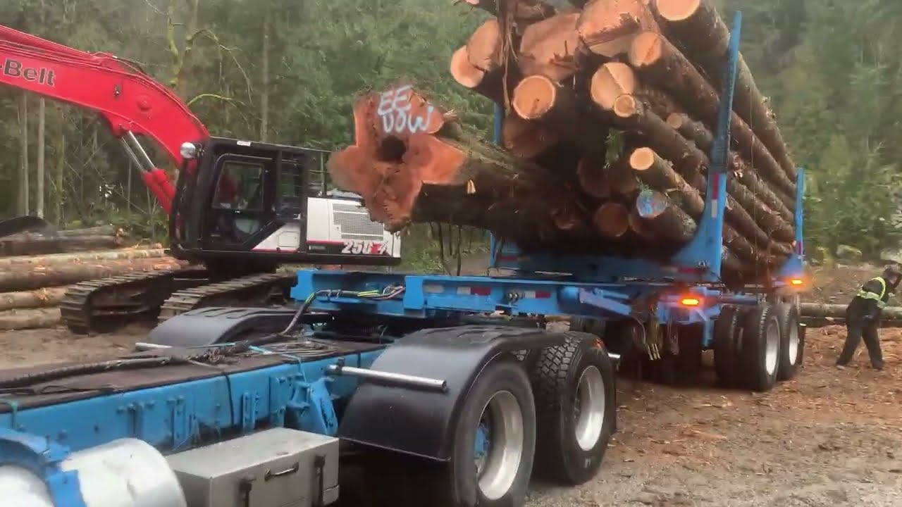 Link Belt and Logs