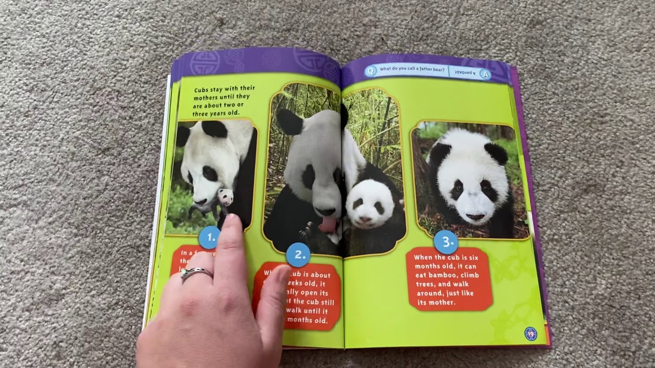 Pandas: National Geographic