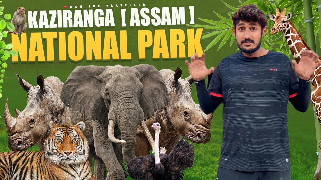 Safari కి వెళ్లాను |Kaziranga National Park Assam || Akhanda Cycle Yatra-Cycle Ride Assam North East