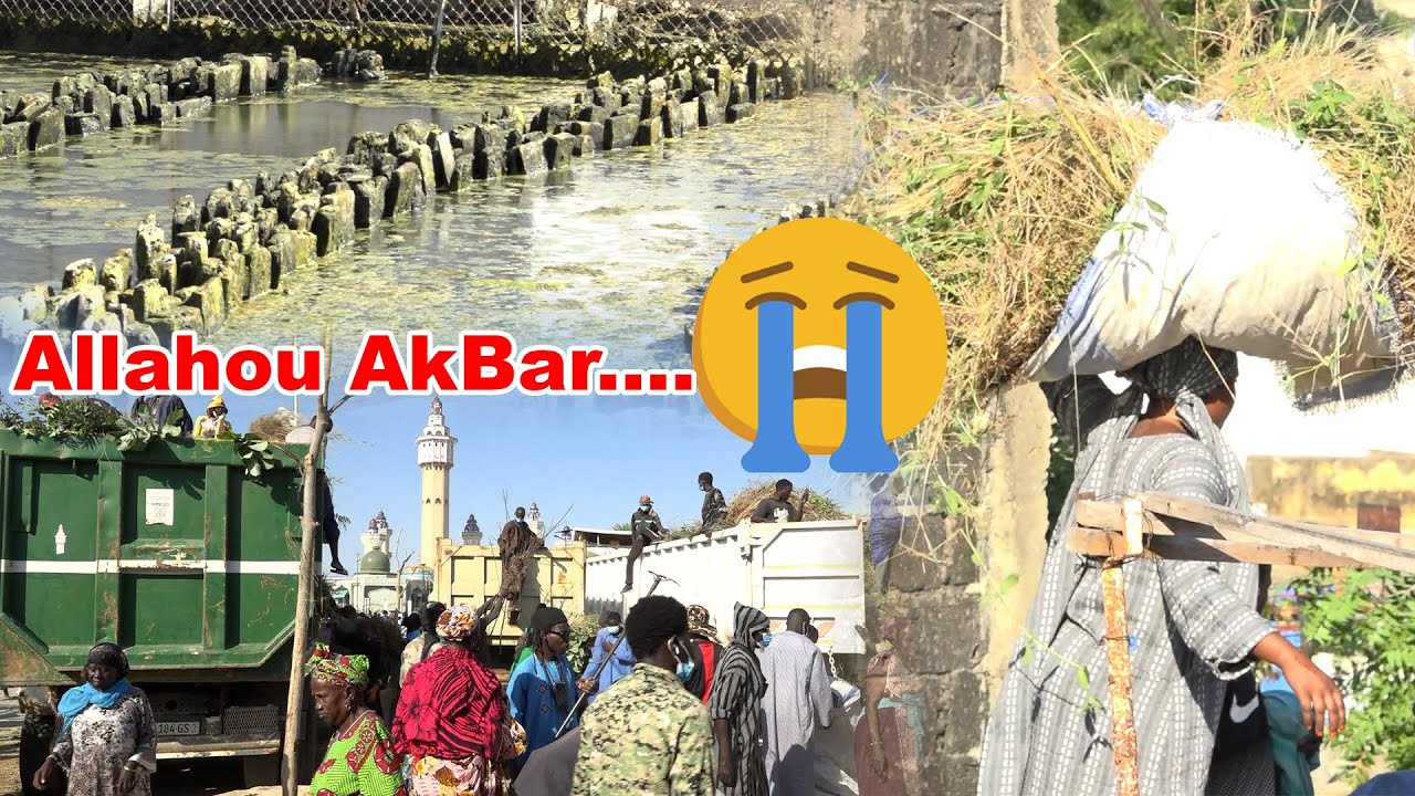 😭 Allahou AkBar  Mbayoum Arméri Touba YI Wakeur Cheikh Issa Diénne lagane Vendredi 14 Novembre 2025