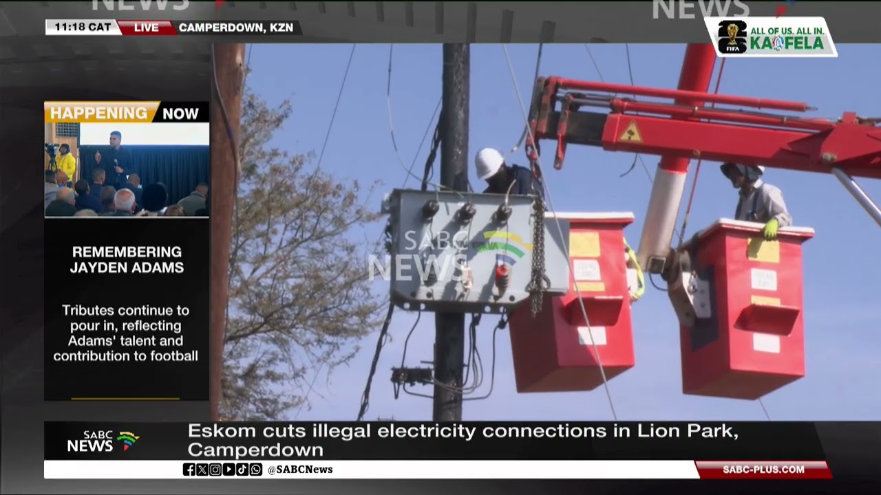 Eskom cuts illegal electricity connections in Lion Park, Camperdown
