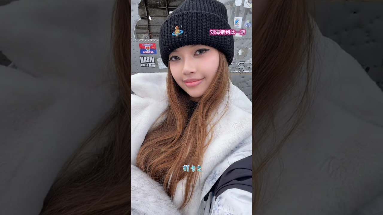 Liu hai s long Icelandic vlog (Part 1)#vlog Daily Life#Travel vlog#Liu Zi#Iceland#碎 五年规划