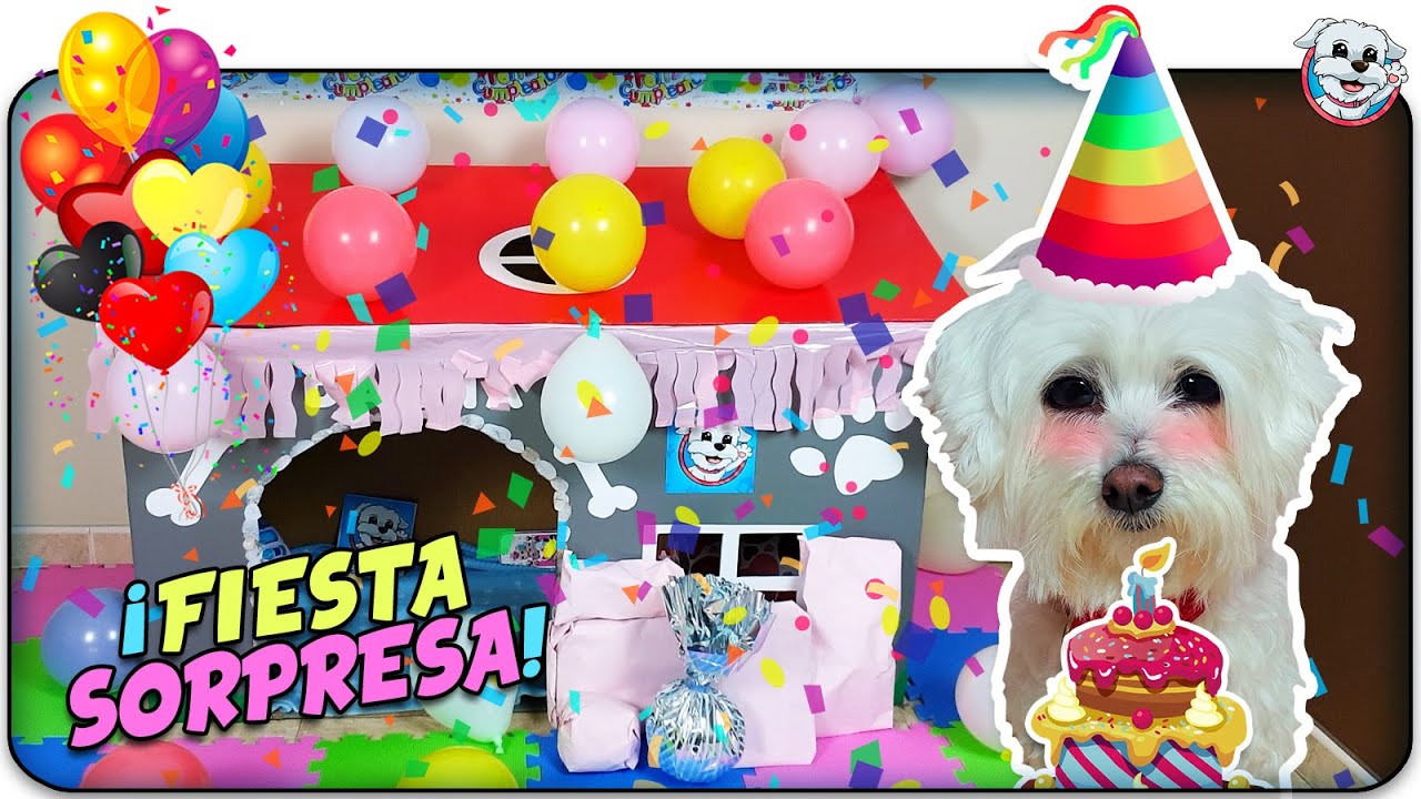 FIESTA SORPRESA de CUMPLEAÑOS de MI PERRO! 🎂🎉Anima Dogs
