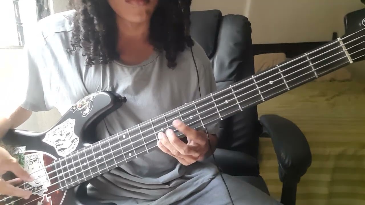 I'm The President - Knower bass cover