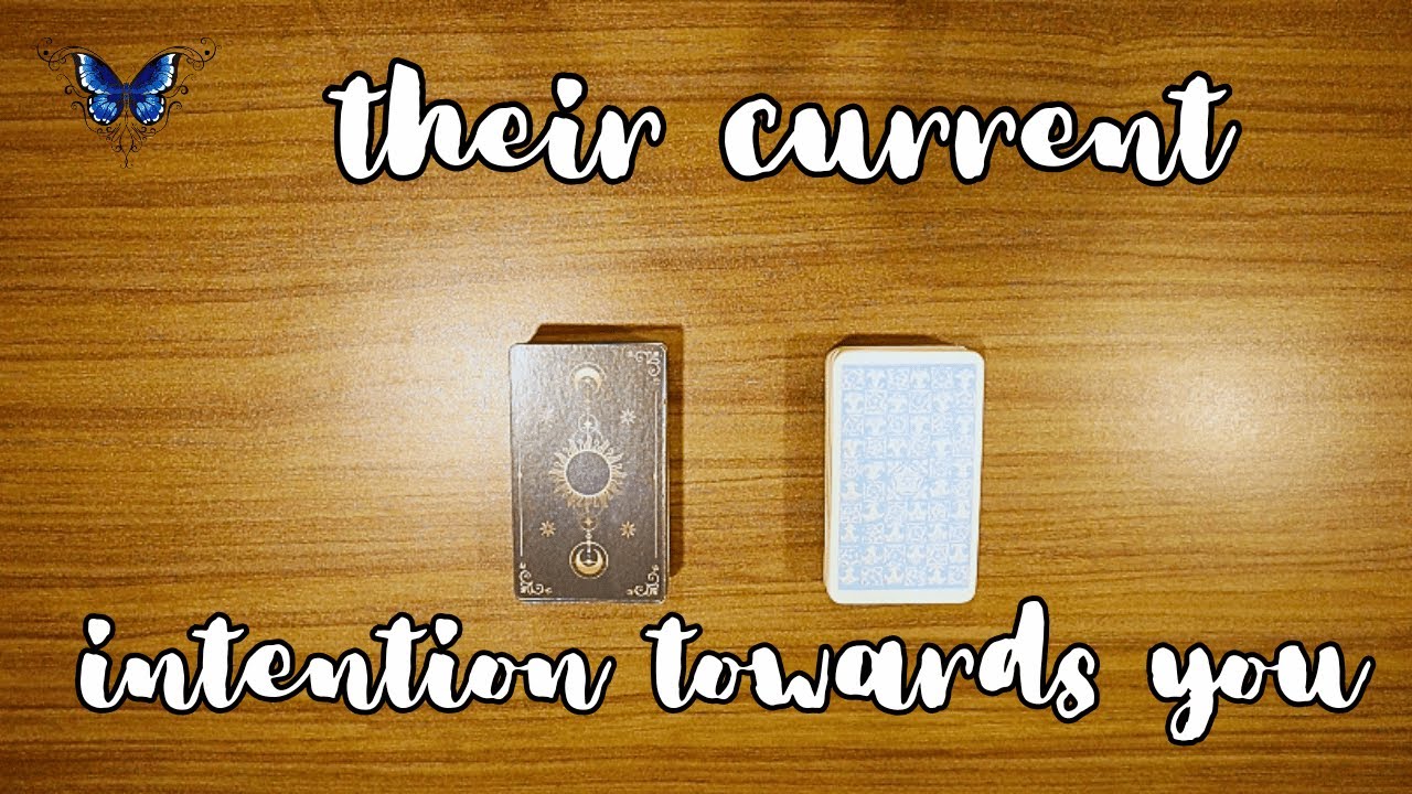 ❤️‍🔥❤️‍🩹 *NO CONTACT* THEIR CURRENT INTENTIONS? 😍🥰 Timeless Tarot Reading 🔮💫