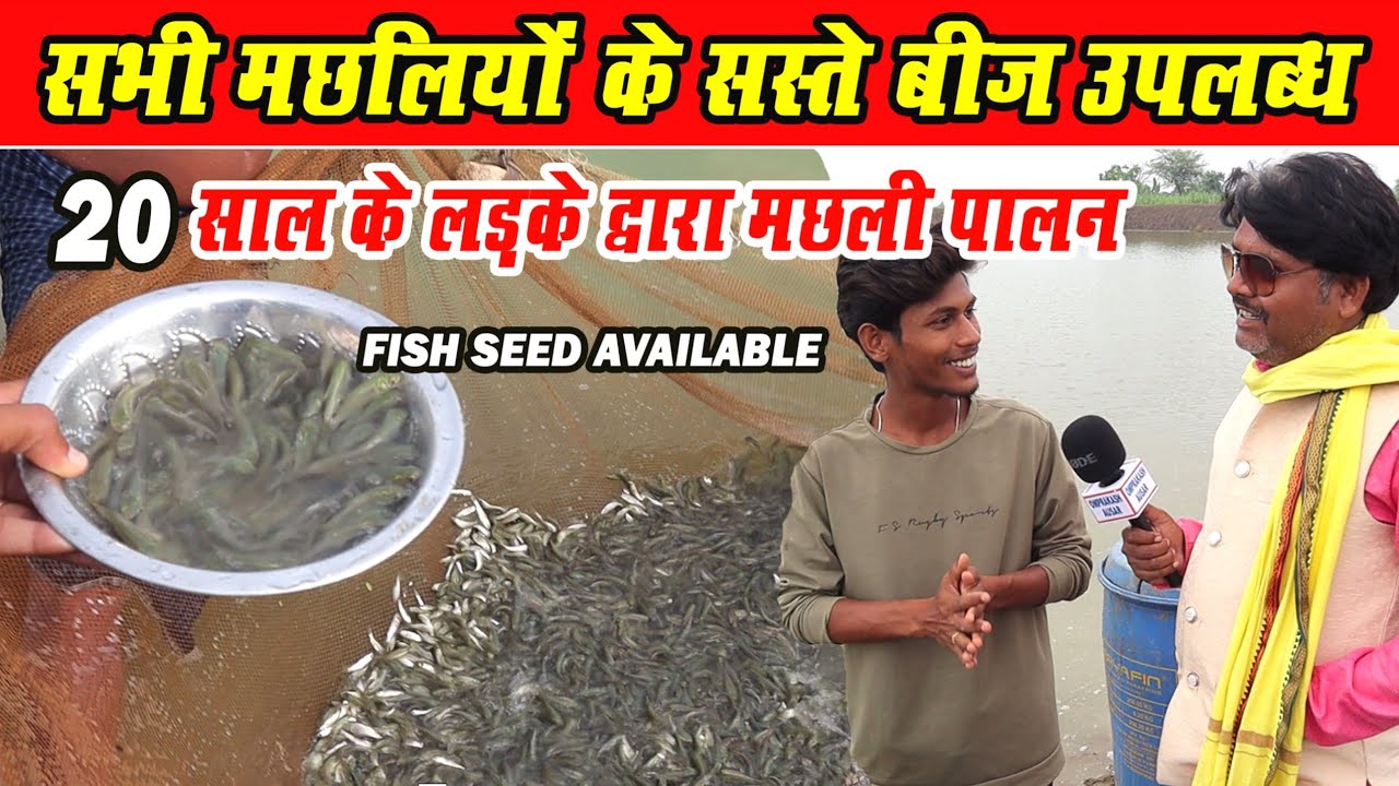 मछली का बीज (बच्चा) यहां मिलेगा ?।Fish Seed Hatchery।। Fish seed Available by young Boy