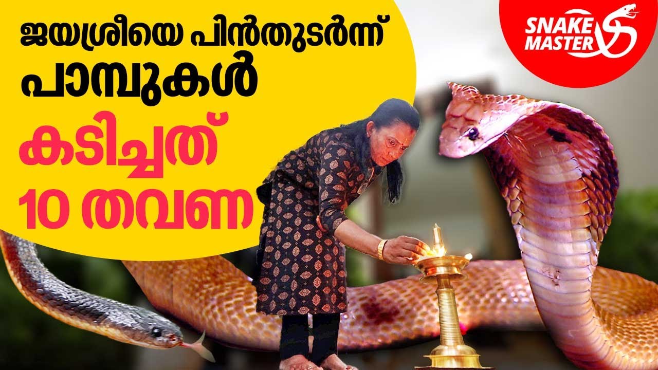 ജയശ്രീയെ പിൻതുടർന്ന് പാമ്പുകൾ കടിച്ചത് 10 തവണ | Vava Suresh | Snakemaster EP 983