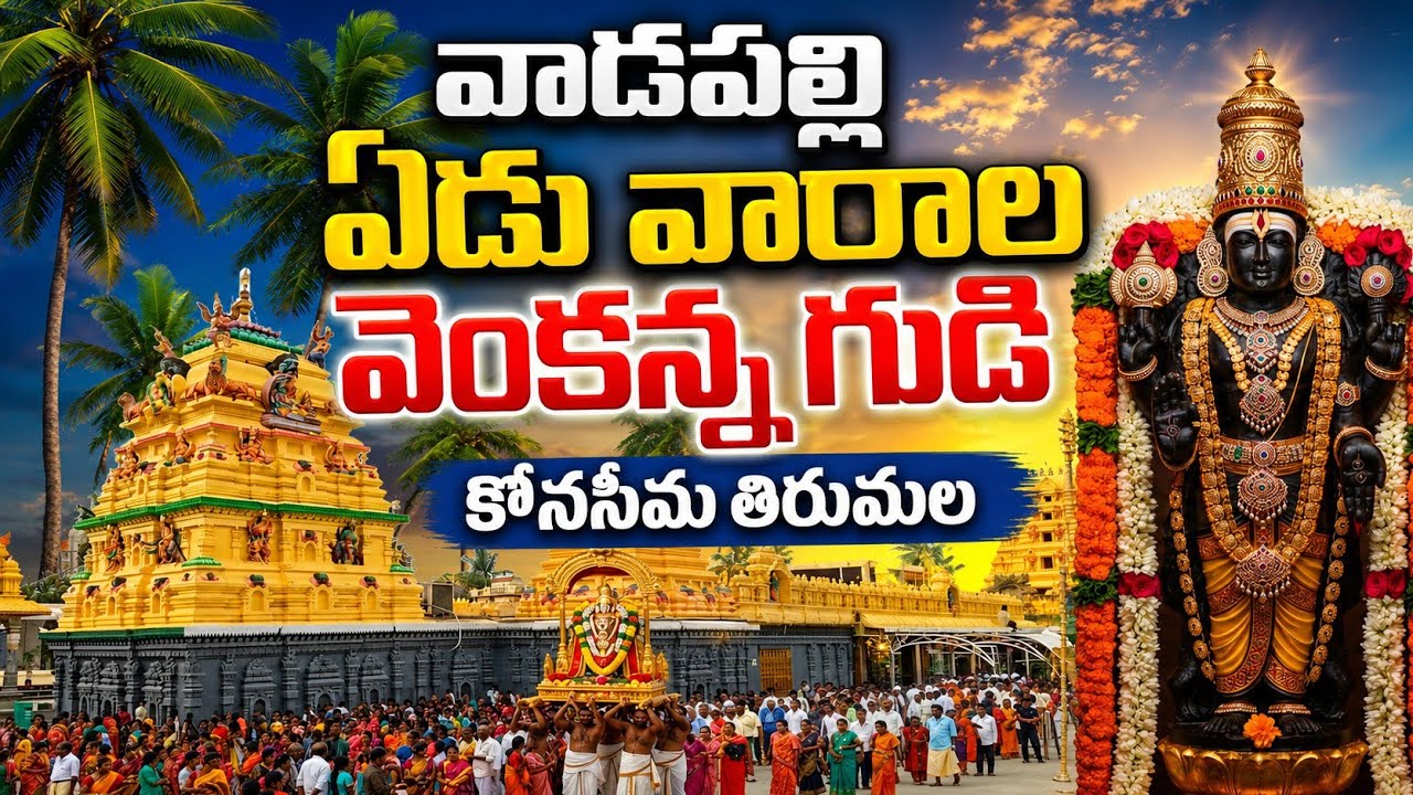 🛕🙏 వాడపల్లి వెంకన్న గుడి // Vadapalli Venkateshwara Swamy Temple // Tour the Vadapalli #vlog #temple