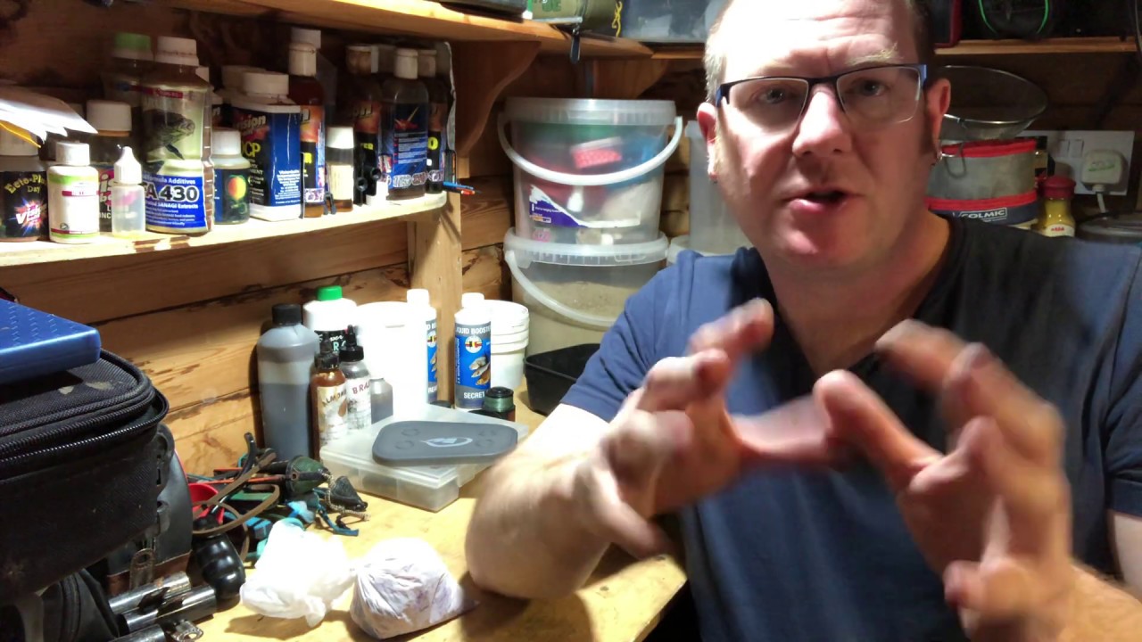 Dead maggots