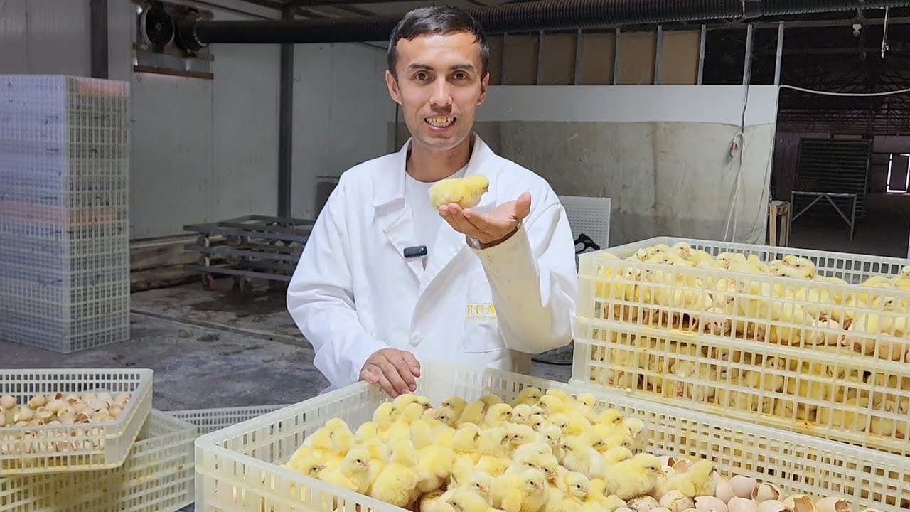 RISHTON PARRANDA BOZORI NARXLARI, DAKAN MAKIYONLARNI ZURLARI SOTILADI