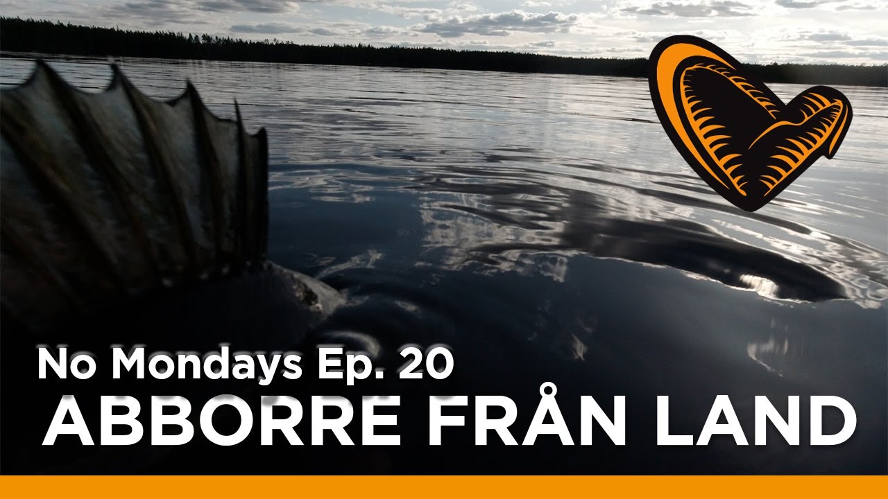 No Mondays -  Ep.20 - ABBORRE FRÅN LAND