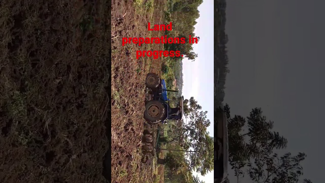 tractor ploughing: maize farming in Uganda, land preparation, grain in Uganda.