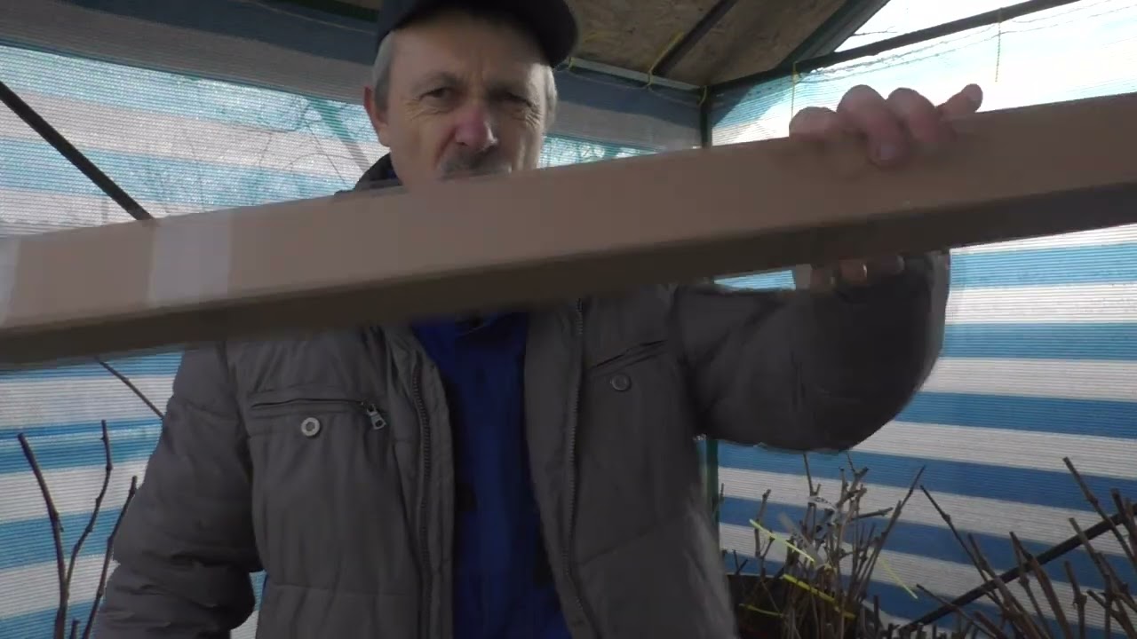 Відправляю підщепу РР 101-14 Акція, вирости сам і поділись з іншим виноградарем