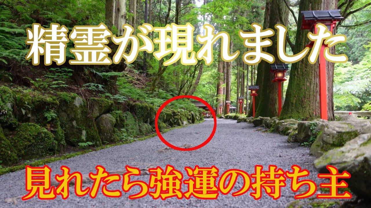 【貴船神社奥宮】※参拝中に現れた精霊の姿を見ることが出来た方は大きな幸運が舞い込み始めます｜遠隔参拝#62｜Kifune Inmost Shrine Japan
