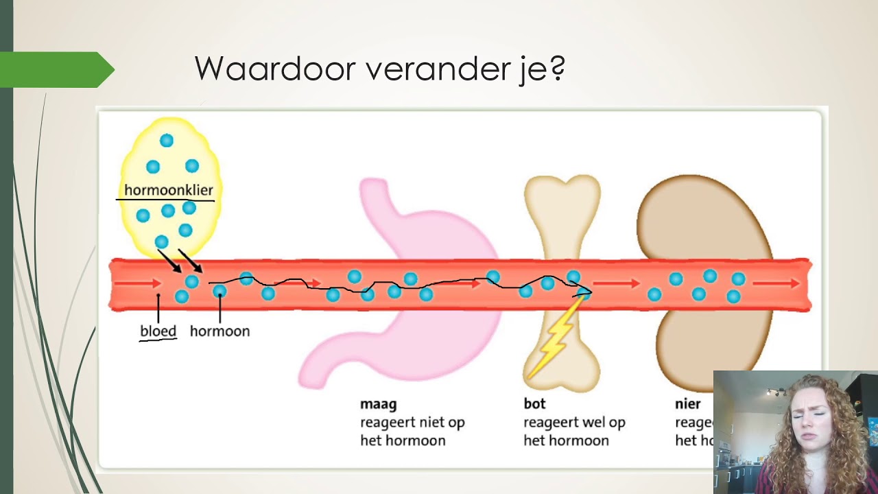 VMBO KGT 2 - Opgroeien