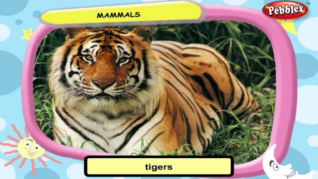 Science For Class 3 : Movement of Animals | Science Videos For Kids | Science Projects