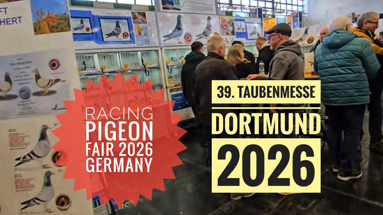 39. Internationale Brieftaubenausstellung Dortmund 2026, #Racing Pigeon Fair Dortmund 2026