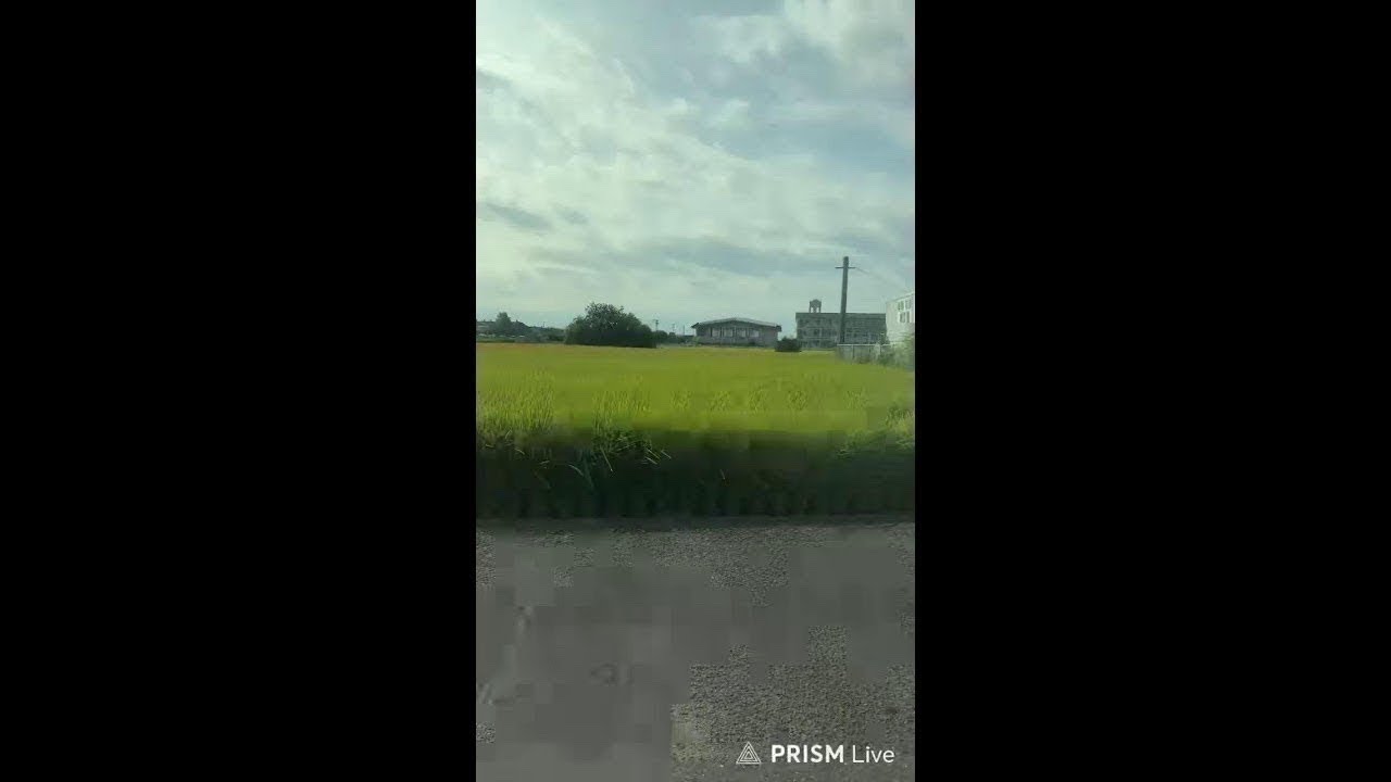 こうめ　ライブ配信