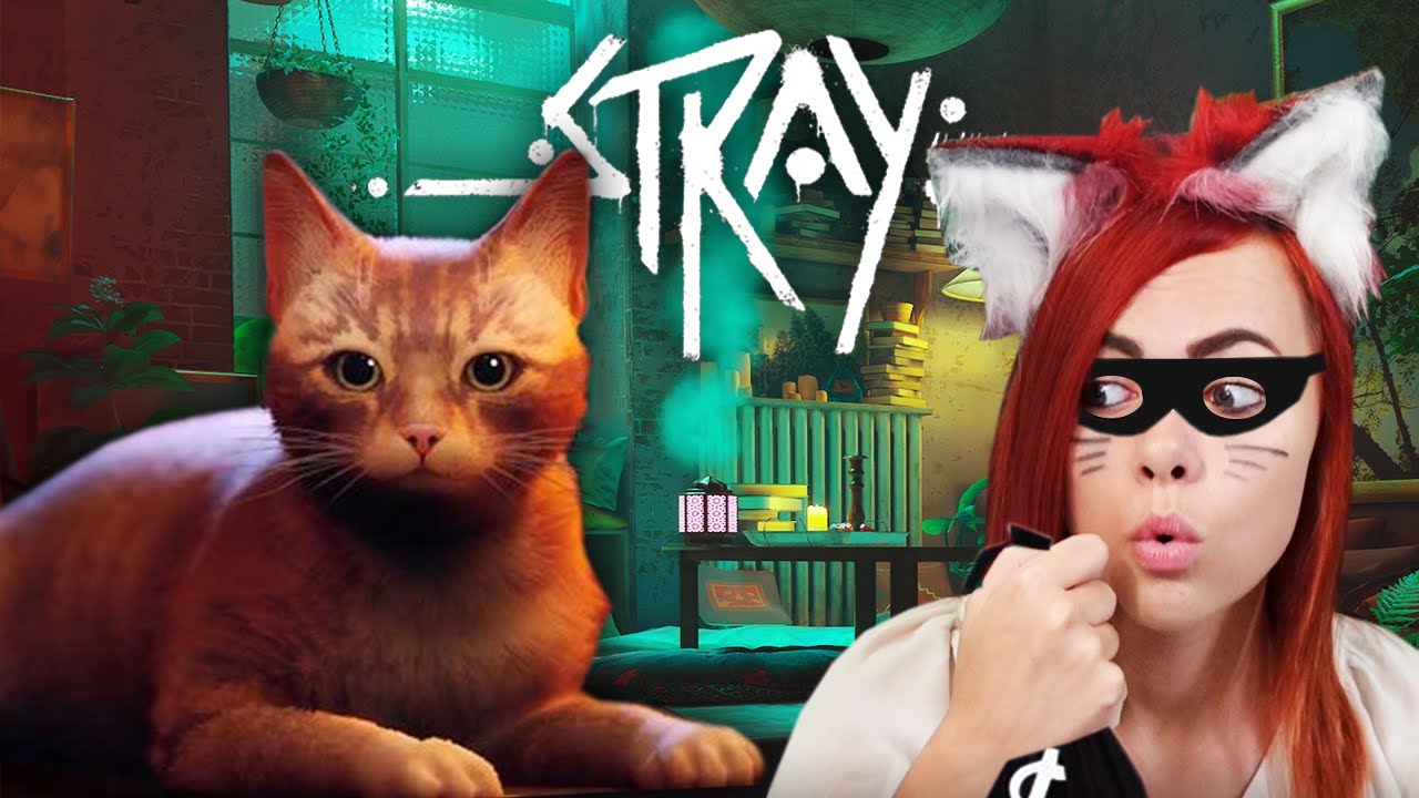 TOLVAJOK LETTÜNK? 🤔  - Stray 😹- Cica Kaland! #7