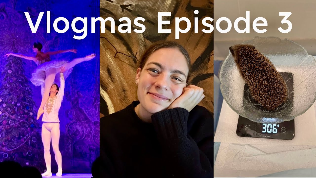 [🇩🇪]Vlogmas 2025 ☃️ Igelbaby Updates, Nussknacker Ballett, IKEA-Haul & DIYs