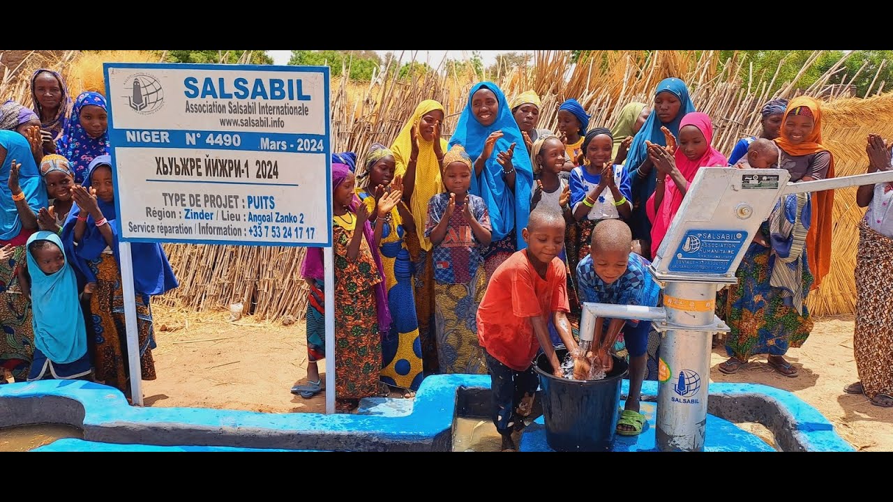 Puits / Колодец №: 4490 Niger