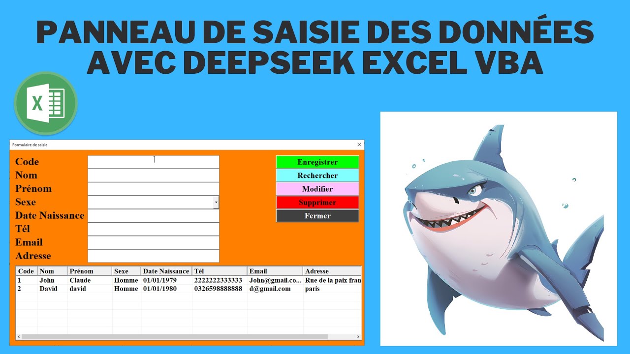 Panneau de saisie des données avec deepseek excel vba