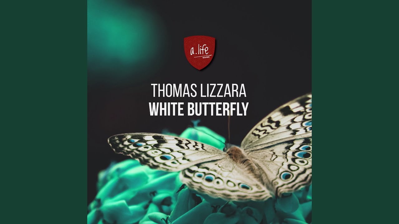White Butterfly
