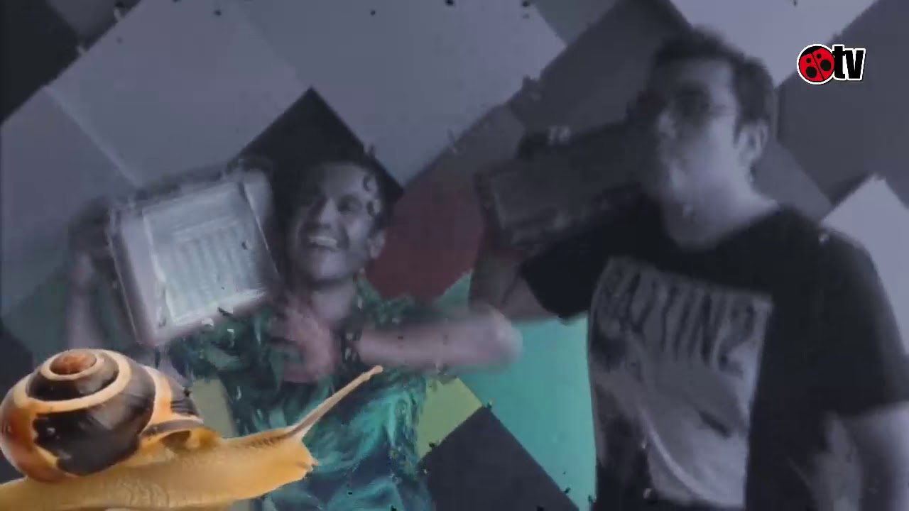 Pegao en el Taco - Niveles de Taco - Radio Carolina