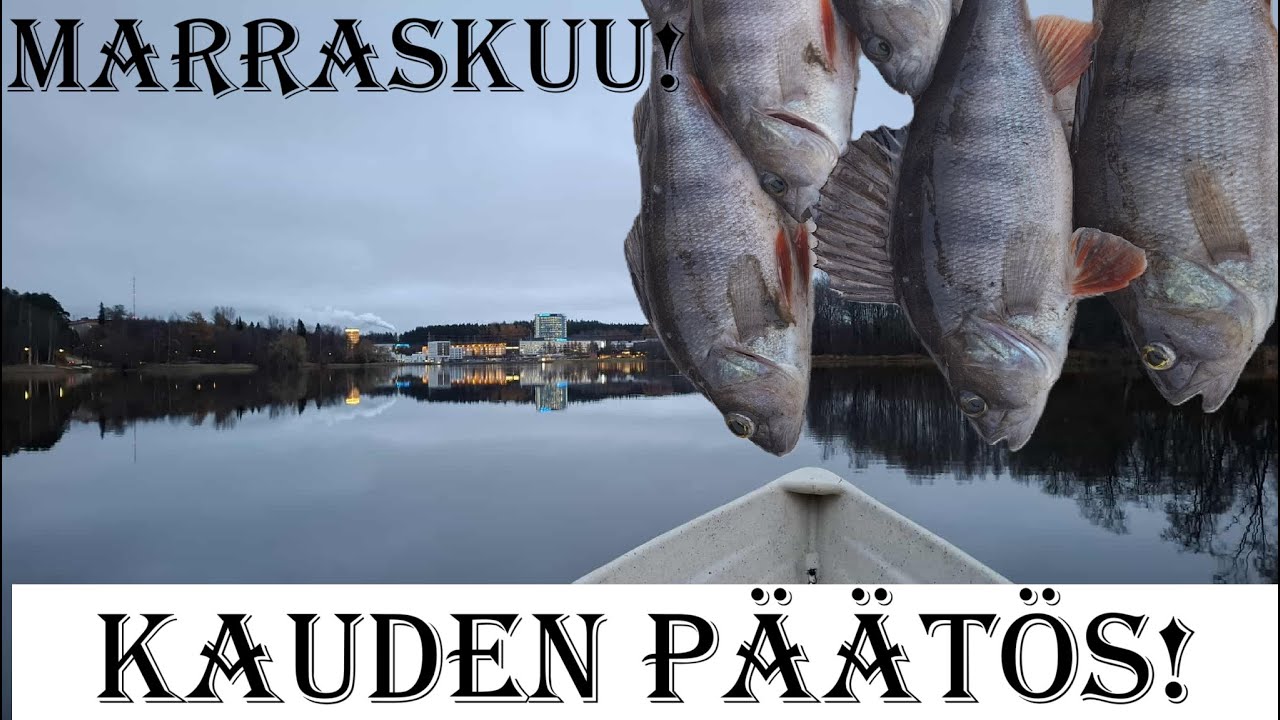 KAUSI 2025 PÄÄTTYY | VIELÄKÖ MARRASKUUSSA LÖYDÄN RUOKAKALAA? | PARAS KAUSIHAN SE OLIKIN! | KIITOS!!!