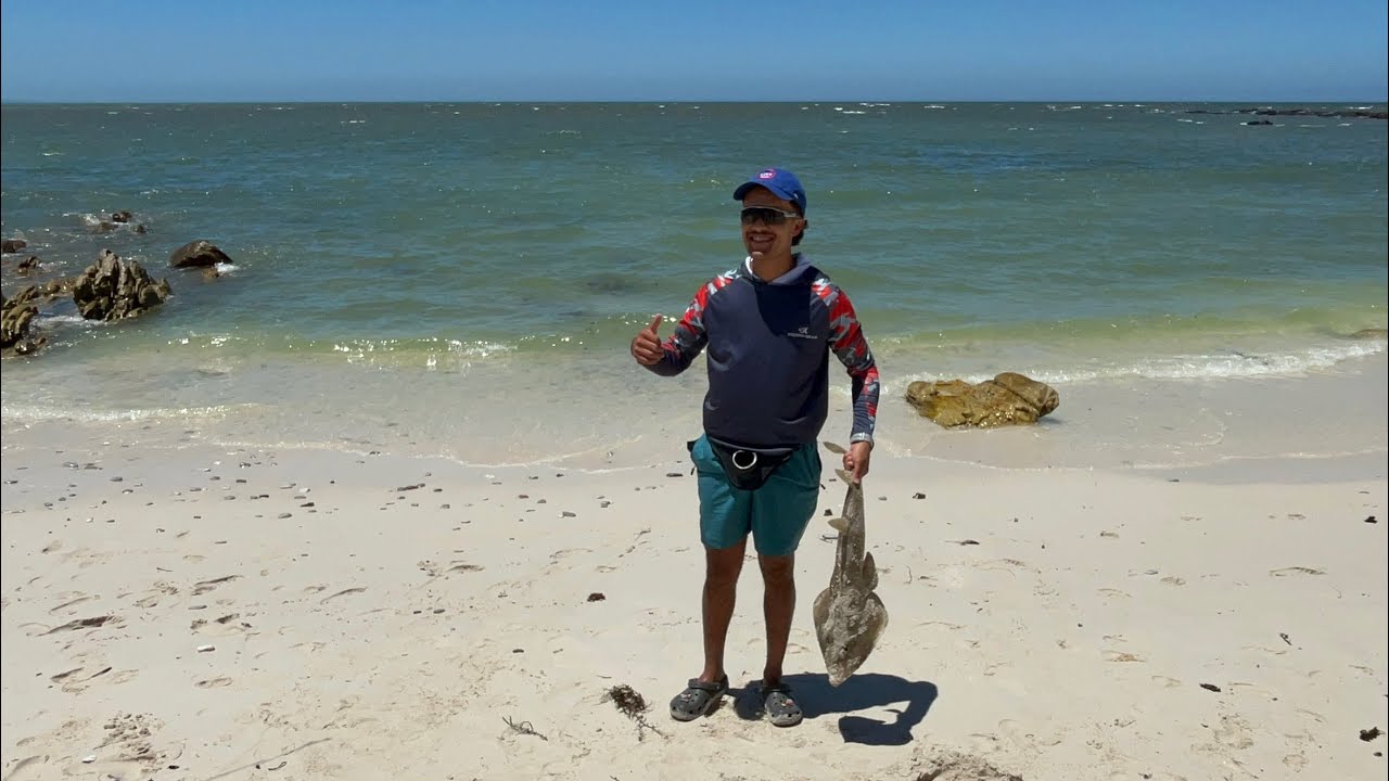 Fishing at Die Dam | Sandsharks