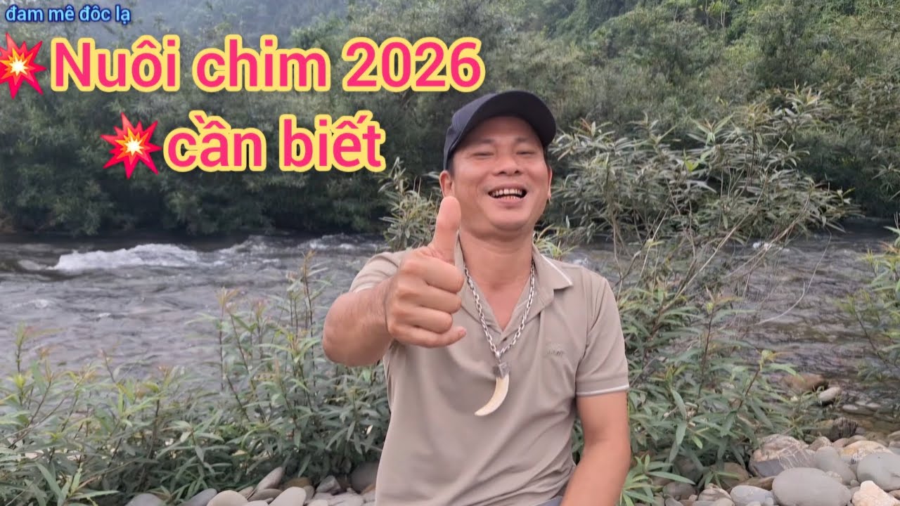 💥 Tin Nóng Hổi | Nuôi Chim 2026 Cần Biết | đam mê đôc lạ