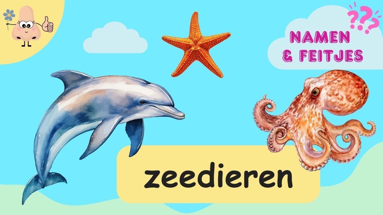Zeedieren Leren &ndash; Woordenschat voor Peuters & Kleuters