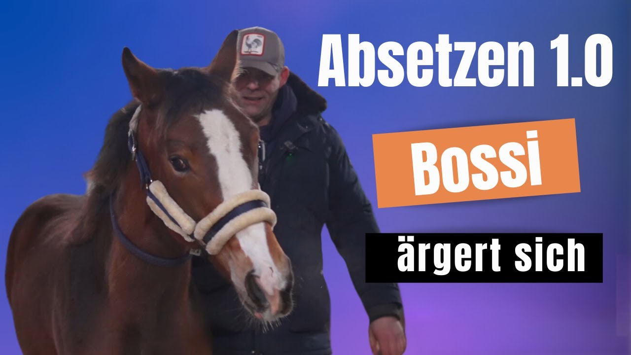 Absetzten 1.0 - Bossi ärgert sich