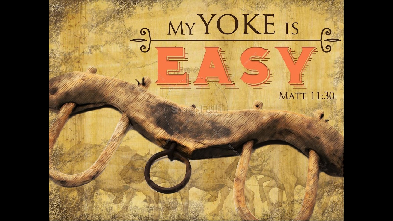 BREAKING YOKES – 2026 SNIPPET #3 FEB 12th 4  YOKE OF CHASTISMENT