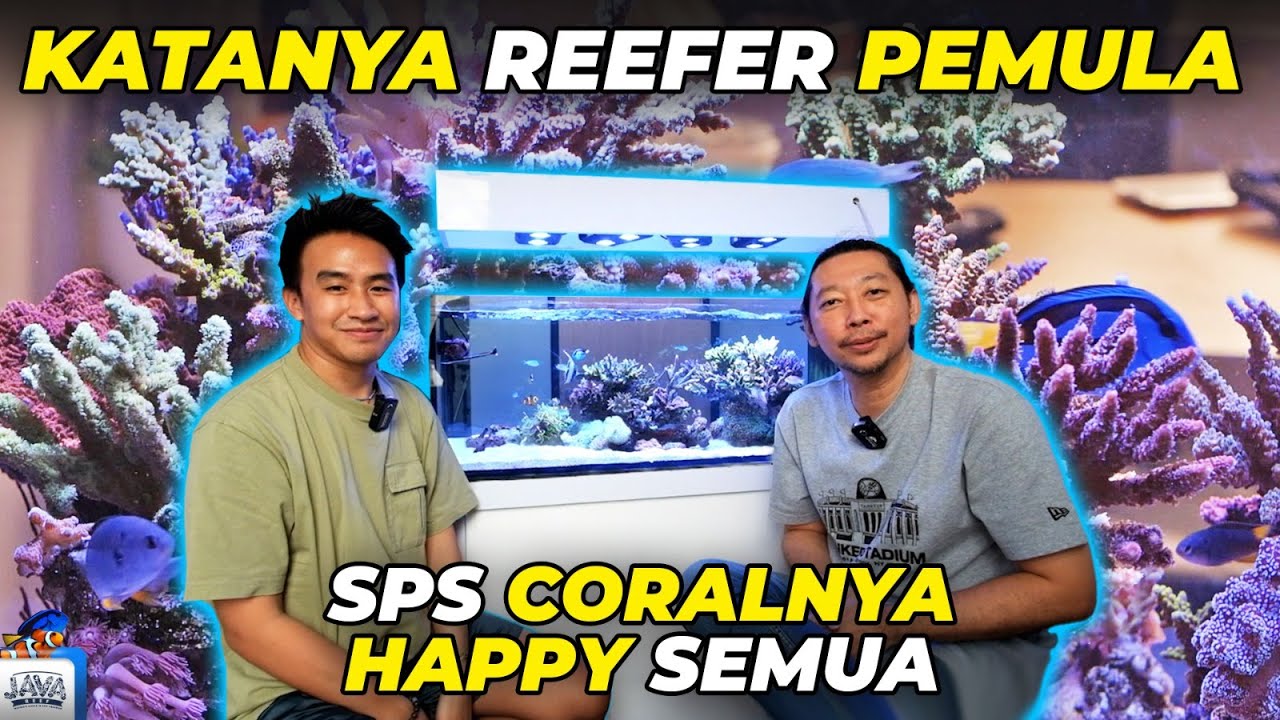 GREBEK REEFER - REEFER PEMULA KOK BEGINI HASILNYA ?!