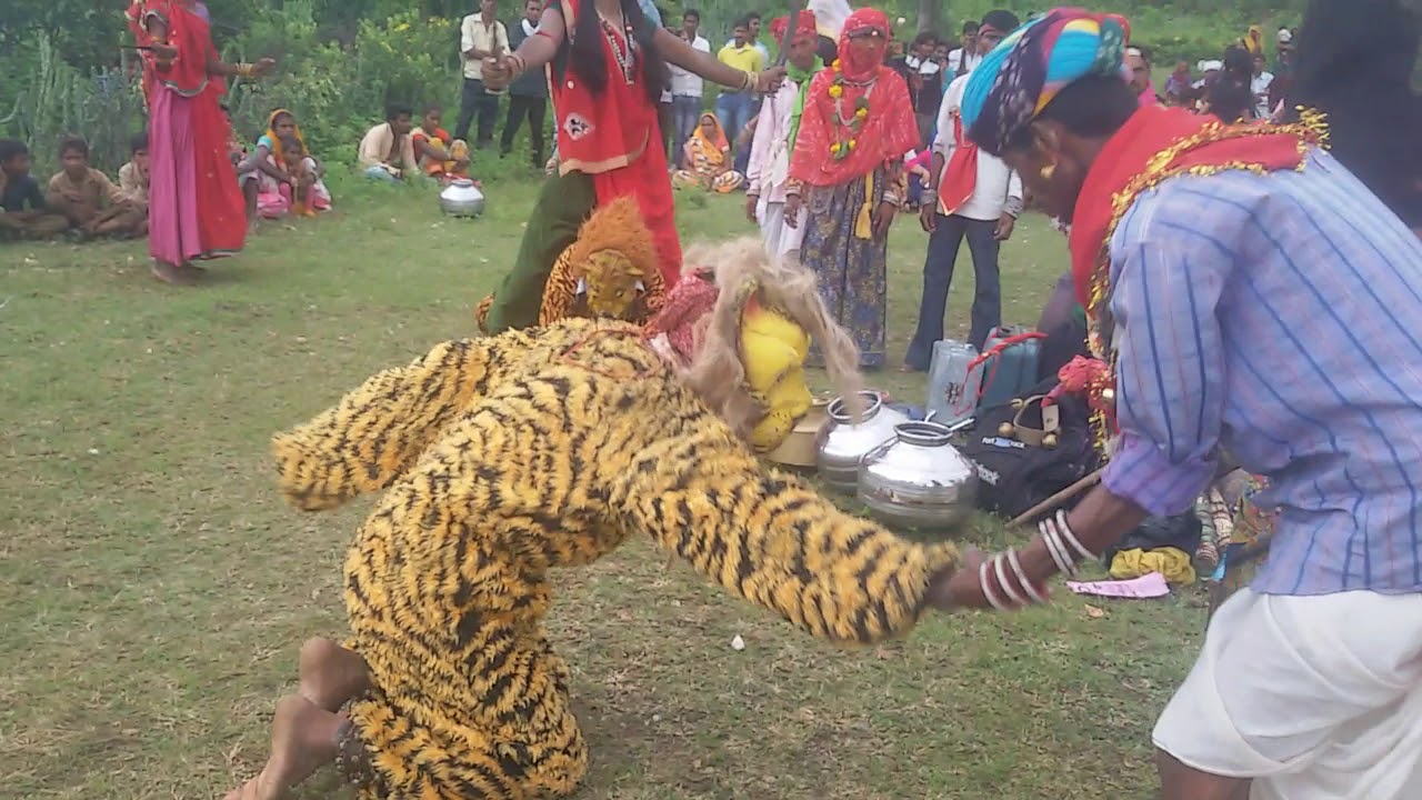 राजस्थानी लोक नृत्य गवरी धनकावाडा।। #आदिवासी #वनवासी #भील #मीणा