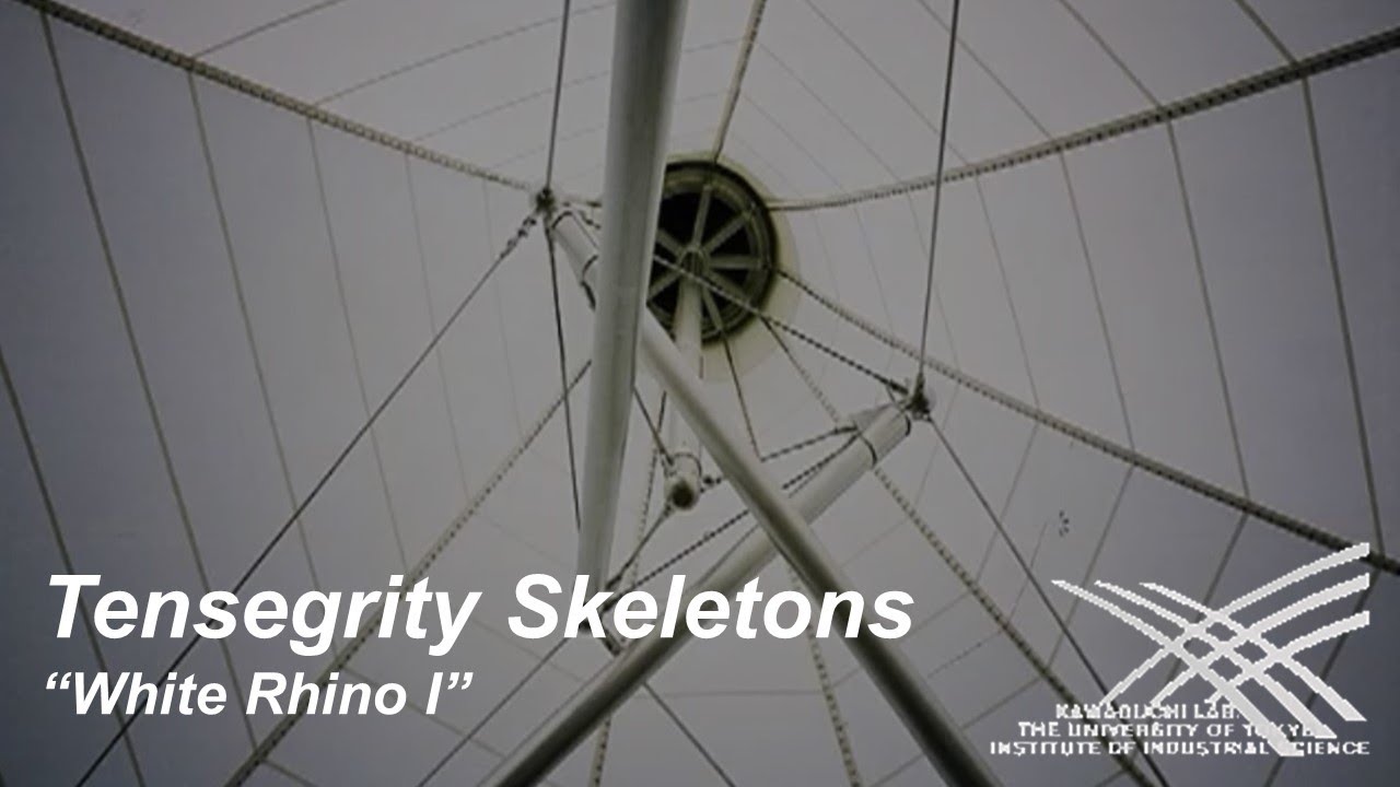 Construction of The World First Typical Tensegrity Skeletons for Building Structures (2001)
